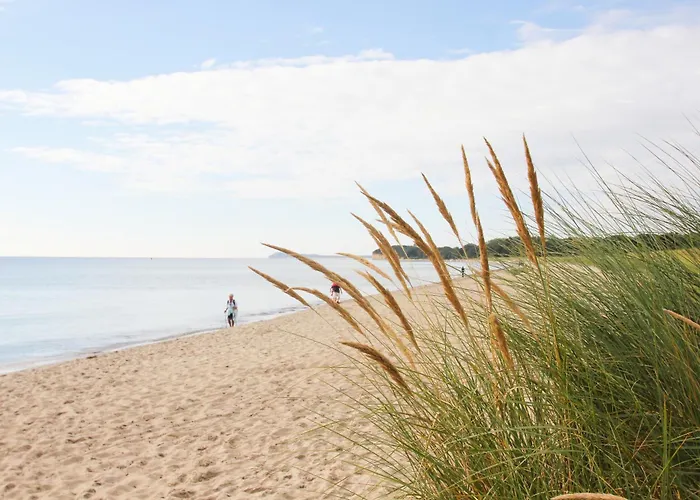 Strandresidenz Brandenburg 31 Mit Sauna- Und Schwimmbadnutzung Im Ahoi Sellin *